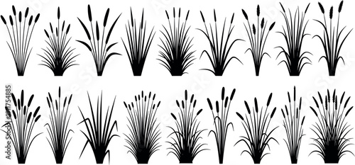 Collection of black cattail and marsh grass silhouettes isolated on white background, cad drawing flat vector illustration for landscape architecture.