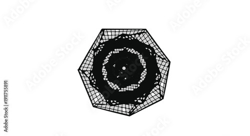 Minimalist Black and White Technical Wireframe and Swirl Icons