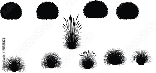 Collection of black bush and ornamental grass silhouettes, decorative shrubs and plants isolated on white background for landscaping, gardening, and nature graphic design