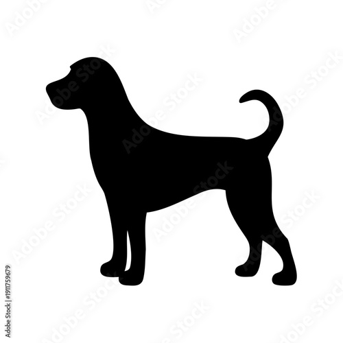 Silhouette of a shorthaired dog with a curled tail standing patiently