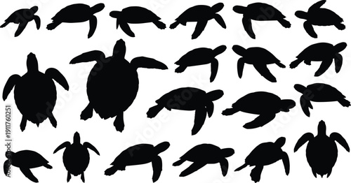 Sea turtle silhouettes collection with different swimming poses isolated on white background, 