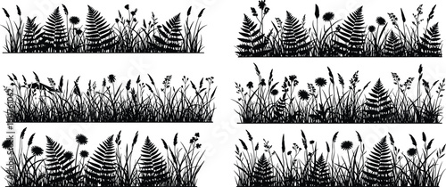 Set of black meadow grass and fern silhouettes, decorative wild field plant borders, floral landscape elements isolated on white background, vector.