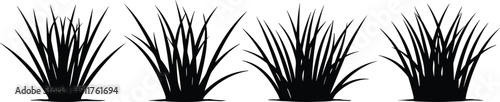 Set of grass bush silhouettes, black vector ornamental plants isolated on white background for garden landscape and decorative design