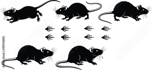 Set of rat silhouettes with footprints, black vector rodent illustrations isolated on white background for pest control and wildlife design