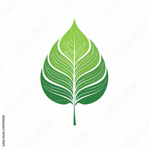 Stylized Green Leaf Illustration Representing Nature, Growth, and Environmental Concepts for Ecological Initiatives