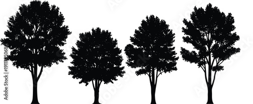 Tree silhouettes collection with detailed foliage and trunks isolated on white background, natural forest vector set for landscape and design