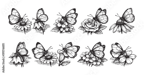 Seamless pattern illustration featuring butterflies and various flowers in a monochrome hand-drawn style. Ideal for backgrounds, textiles, wallpapers, stationery, and creative design projects.