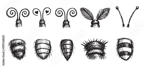 Hand-drawn insect body parts isolated on white, including antennae variations and abdomen shapes. Useful for biology illustrations, educational material, and creative designs.
