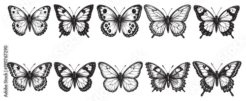 Collection of diverse hand-drawn butterfly species in black and white. Perfect for nature-themed designs, invitations, or creative projects needing vintage, whimsical insect elements.