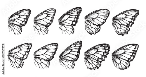 Graphic illustration of sketched butterfly wing halves, perfect for surface pattern design, invitations, or whimsical backgrounds. Clean and simple black and white aesthetic.