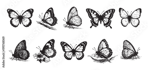 Collection of hand-drawn black and white butterfly illustrations. Useful for invitations, cards, nature-themed designs, and scrapbooking. Vector illustration available for easy editing.