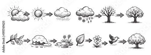 Black and white sketch of weather and growth cycles, showing sun, rain, trees, flowers, and birds. Suitable for education, illustration, or design projects.