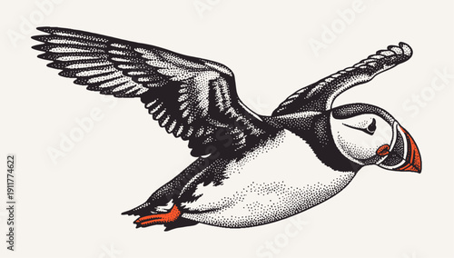 flying puffin bird illustration in retro halftone engraving style, stipple effect animal art