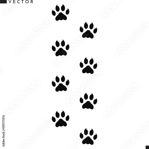 African lion paw prints vector illustration. Wild animal track 