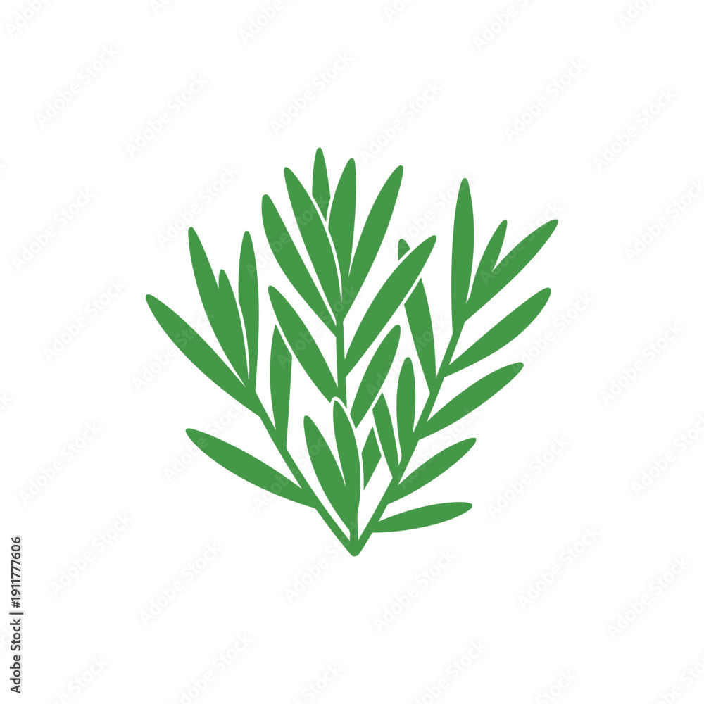 Fototapeta premium Tarragon Herb with Compact Leaf Cluster Decorative Flat 2D Botanical Vector Illustration