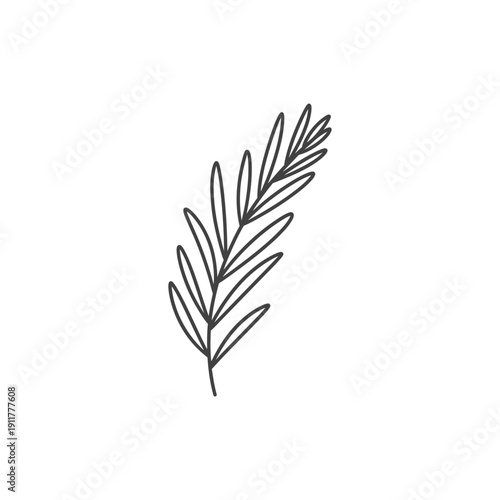 Tarragon Herb with Curved Stems and Smooth Lines Decorative 2D Botanical Vector Illustration