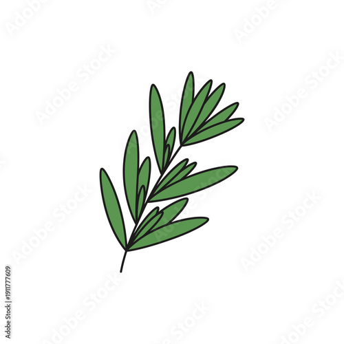 Tarragon Herb with Flat Layered Leaves Decorative Minimal 2D Botanical Vector Illustration