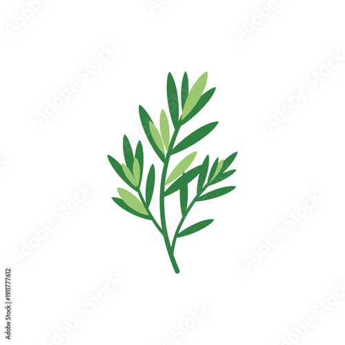 Tarragon Herb with Flat Cut Shapes Minimal 2D Botanical Flat Vector Illustration