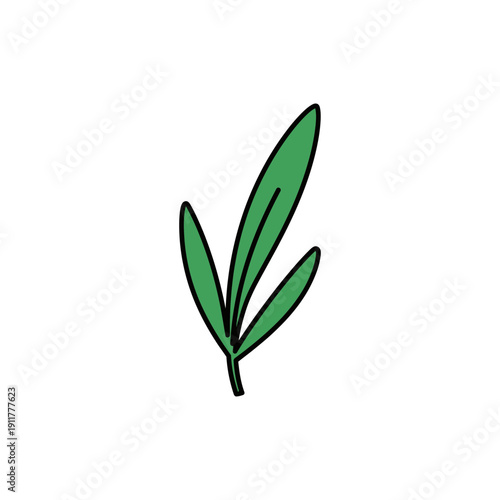 Tarragon Leaf Close-Up with Bold Outline and Flat Shading Detailed 2D Botanical Vector