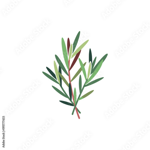 Tarragon Herb with Sharp Leaf Contrast Decorative Flat 2D Botanical Vector Illustration
