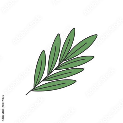 Tarragon Leaves Angled Right Decorative Flat 2D Botanical Vector Illustration