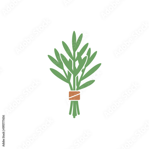 Tarragon Leaves Arranged Like a Bouquet, Floral Botanical Herb 2D Vector Illustration