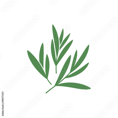 Tarragon Leaves Arranged Loosely, Natural Botanical Herb 2D Vector Flat Illustration