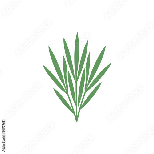 Tarragon Leaves Arranged Like Blades, Linear Botanical Herb 2D Vector Illustration