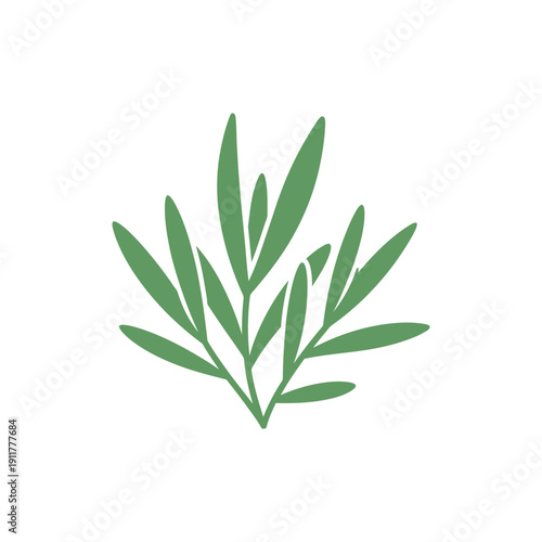 Tarragon Leaves Arranged Naturally Loose, Organic Botanical Herb 2D Vector Illustration