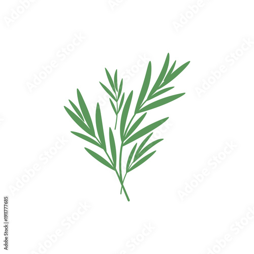 Tarragon Leaves Arranged Like Brush Strokes, Artistic Botanical Herb 2D Vector Art