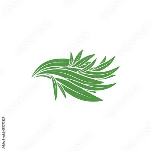 Tarragon Leaves Forming Layered Wave Botanical Herb Illustration Green Foliage