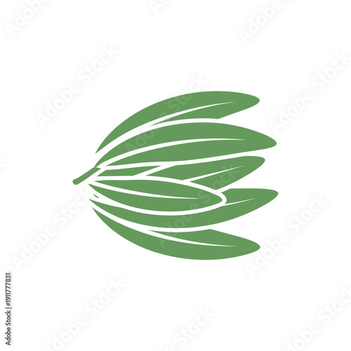 Tarragon Leaves Layered Evenly Botanical Herb Illustration Garden Green Leaf Foliage