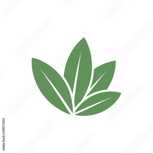 Tarragon Leaves Layered in Clean Order Botanical Herb Illustration Green Garden Foliage