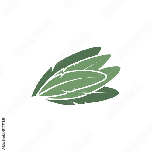Tarragon Leaves Layered Like Feathers Smooth Fills Botanical Herb Illustration Green Foliage