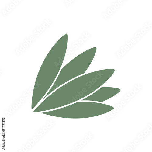 Tarragon Leaves Layered Softly Botanical Fresh Herb Green 2D Vector Illustration Icon