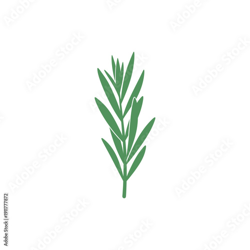 Tarragon Leaves Pointing Upward Strong Vertical Layout Botanical Culinary 2D Vector Icon