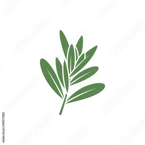 Tarragon Leaves with Clean Spacing Modern Botanical Herb Green Flat 2D Vector Illustration Icon