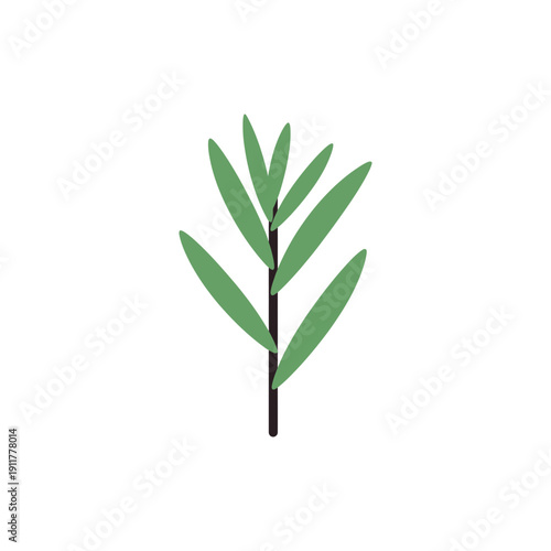 Tarragon Plant Bold Simple Geometry Botanical Vector Illustration for Garden Design