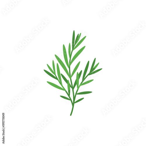 Tarragon Plant Bold Flat Botanical Style Detailed Vector Illustration