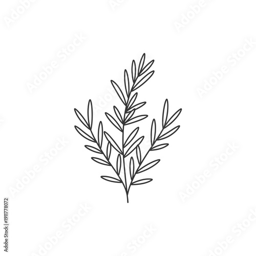 Tarragon Plant with Calm Balanced Layout Flat Botanical Herb Vector Illustration