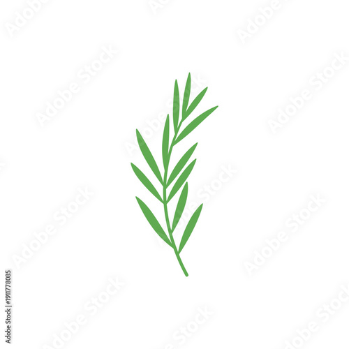Tarragon Plant with Clean Botanical Icon Style Flat Herb Vector Detailed Illustration