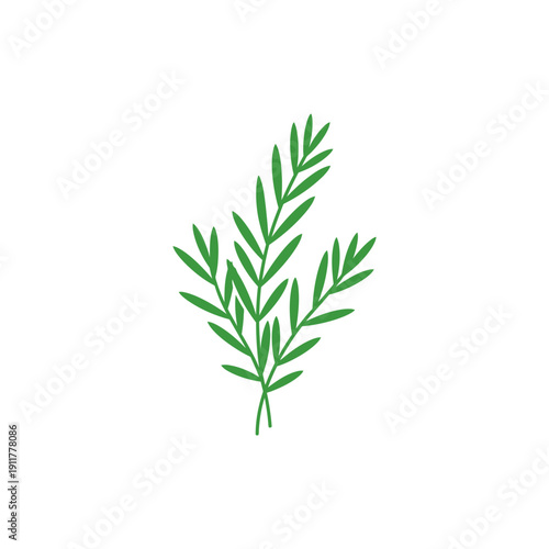 Tarragon Plant with Clean Cut Ends Minimal Flat Botanical Herb Vector Illustration