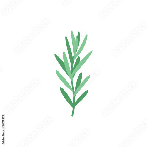 Tarragon Plant with Modern Simple Composition Decorative Flat 2D Botanical Vector Illustration