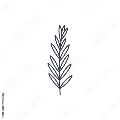 Tarragon Plant with Natural Leaf Rhythm Decorative Flat 2D Botanical Vector Illustration