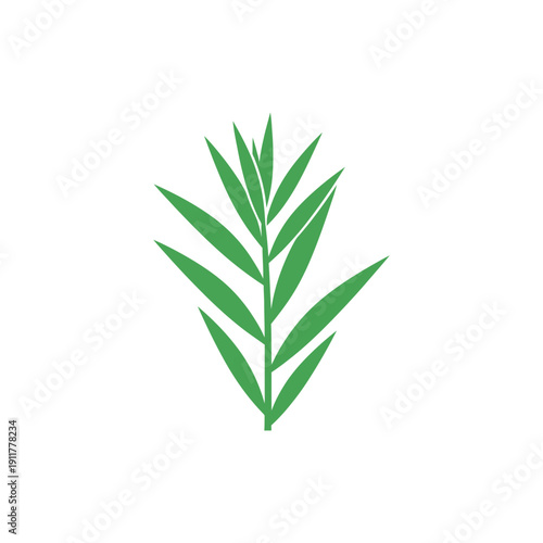 Tarragon Plant with Sharp Angular Leaves Decorative Flat 2D Botanical Vector Illustration
