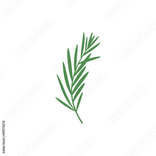 Tarragon Plant with Slight Asymmetry Natural Feel Decorative Flat 2D Botanical Vector Illustration