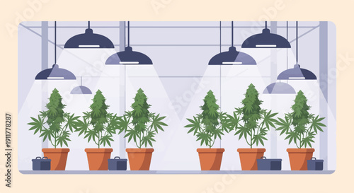 Plants grown indoors under artificial lighting in pots