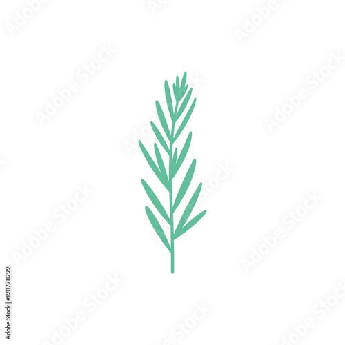Tarragon Plant with Smooth Minimal Form, Simple Botanical Herb 2D Vector Illustration