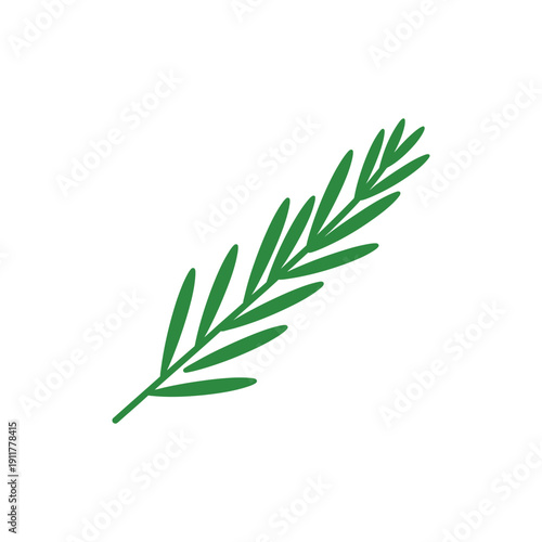 Tarragon Sprig Angled Diagonally Bold Green Tones Herbal Vector Botanical Illustration