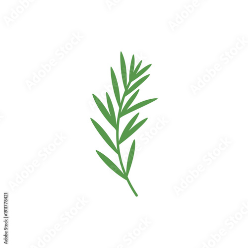 Tarragon Sprig with Balanced Flat Composition Herbal Botanical Vector Illustration